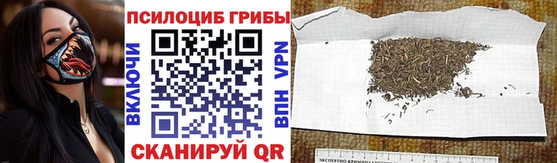 Псилоцибиновые грибы ЛСД  Купить где  Урай 
